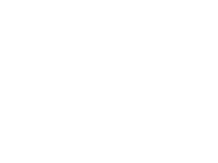 Modern Design